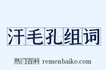 汗毛孔组词是什么意思的图片